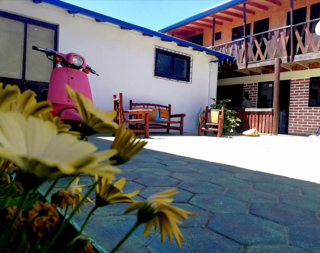 Hostal Traveland Pichilemu Zewnętrze zdjęcie